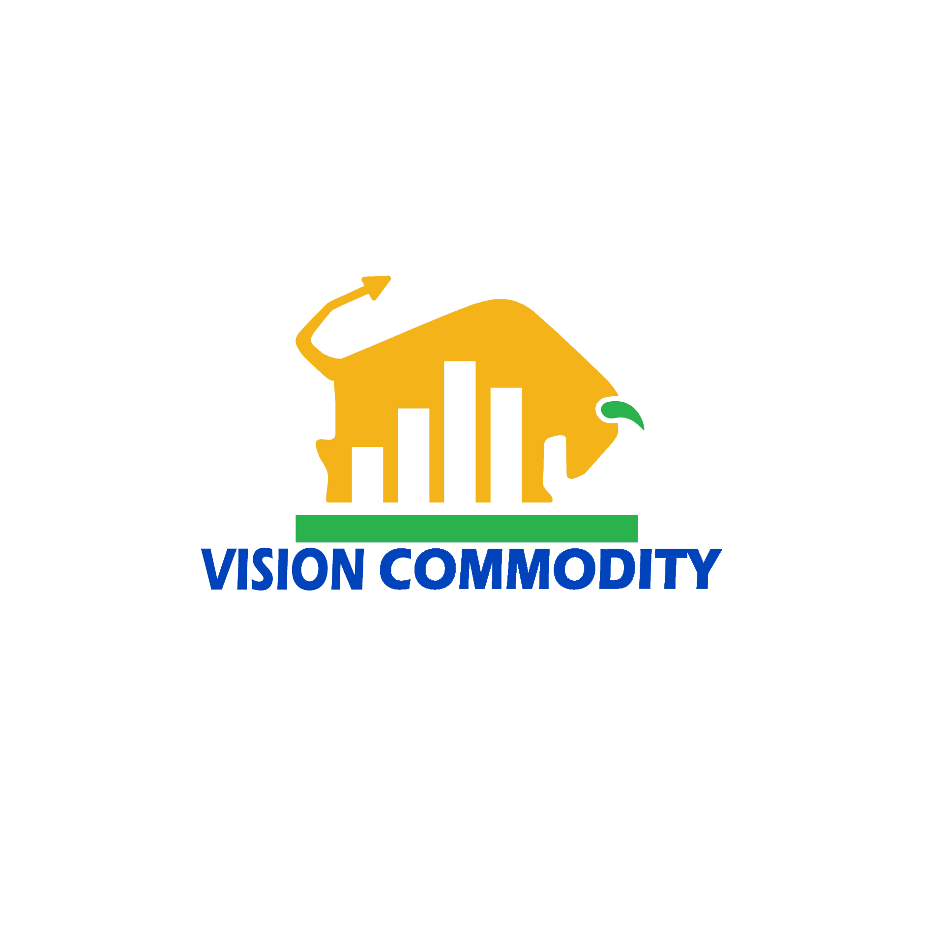 Vision Commodity Logo